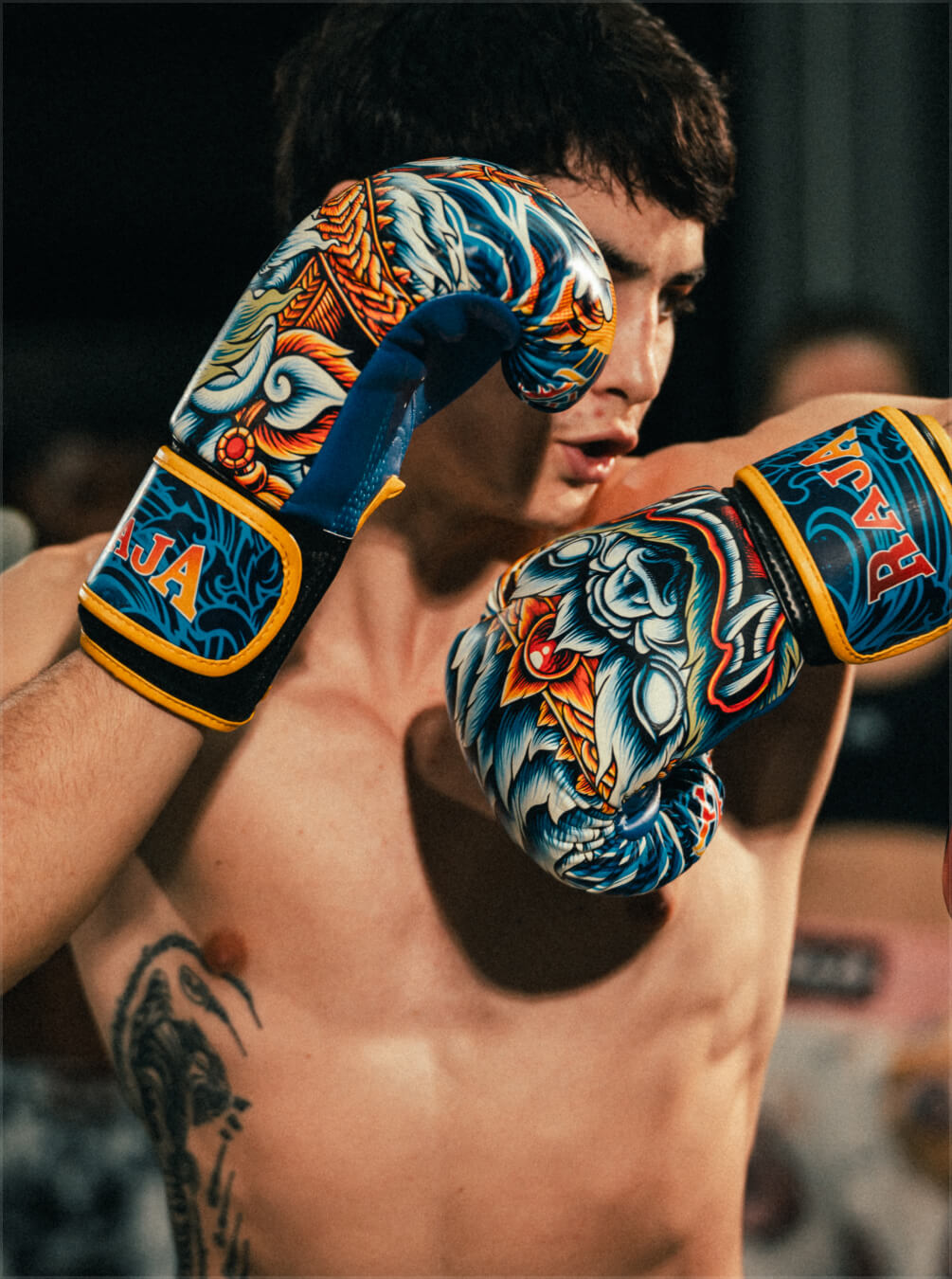 boxer